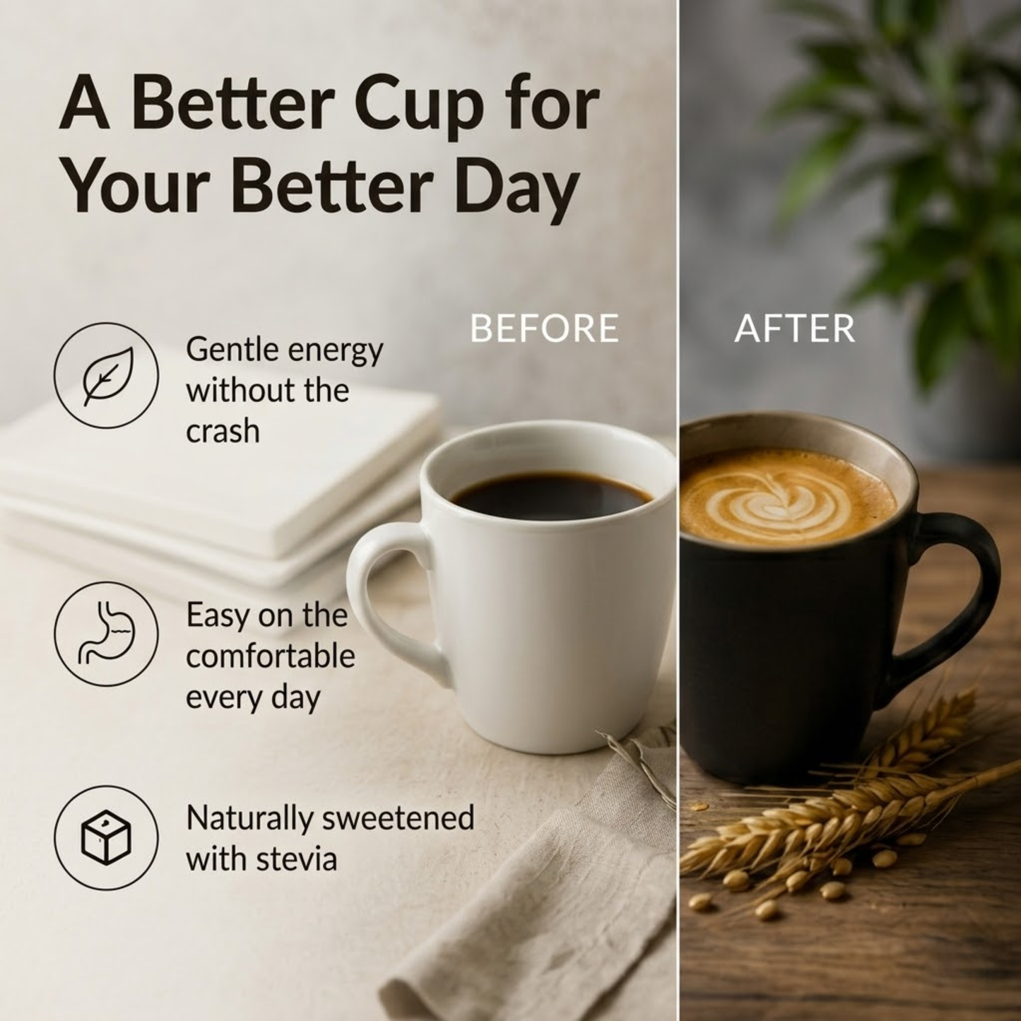 AICARE Barley Coffee with Stevia (100g)