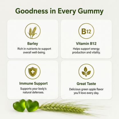 Barley Gummies + Vitamin B12 (60 Gummies)