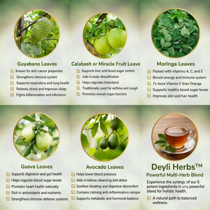 DeyliHerbs Vitality Herb Mix (20 Tea Bags)